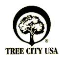 treecity