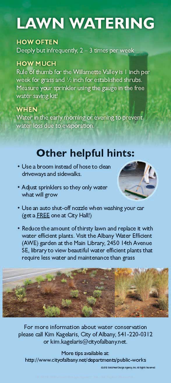 Bill_Insert-Albany-web_Page_2